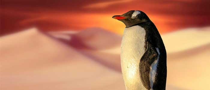 climate change animals